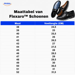 Herenschoenen met ruitpatroon, instap of met veters
