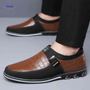 Herenschoenen met ruitpatroon, instap of met veters, kleur bruin